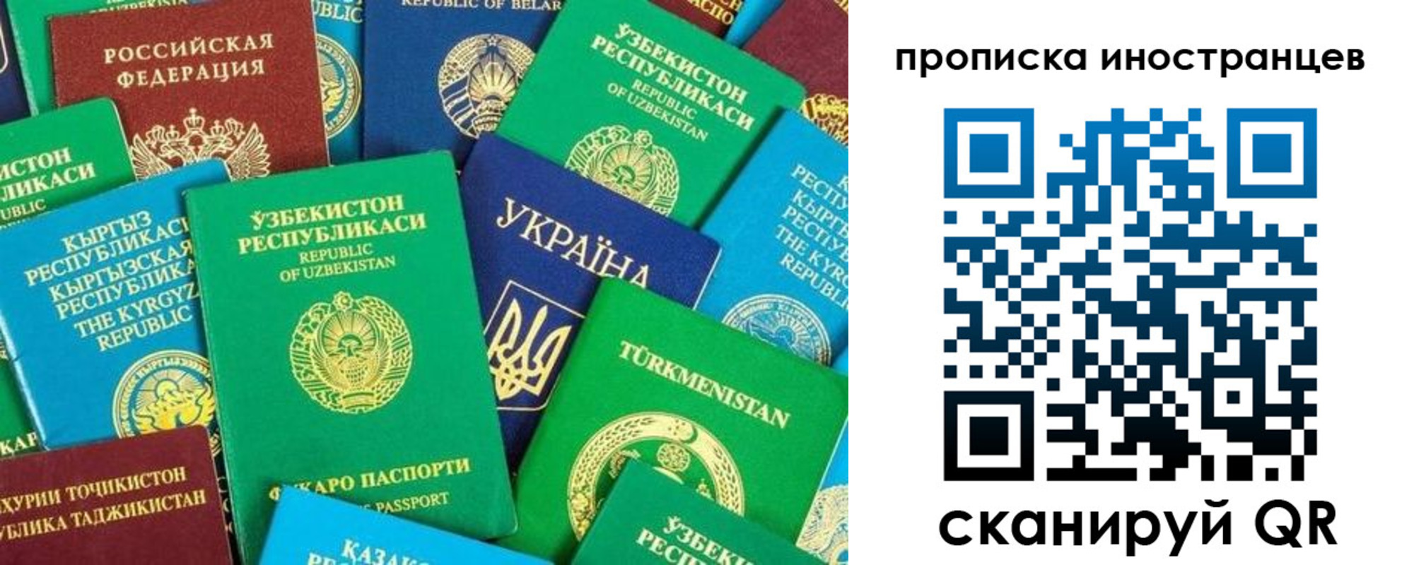 прописка гарантия в Отрадном